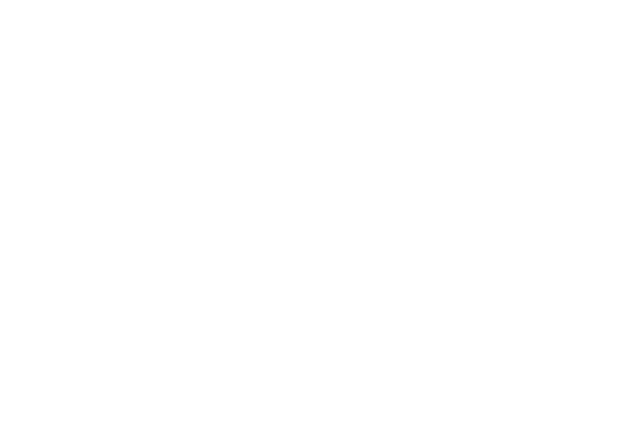 Weather Force White logo